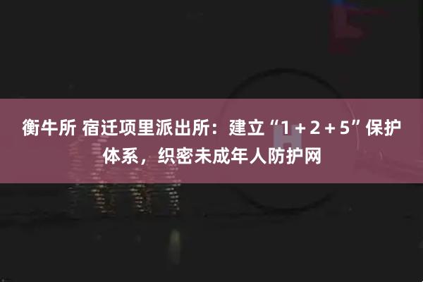衡牛所 宿迁项里派出所：建立“1＋2＋5”保护体系，织密未成年人防护网