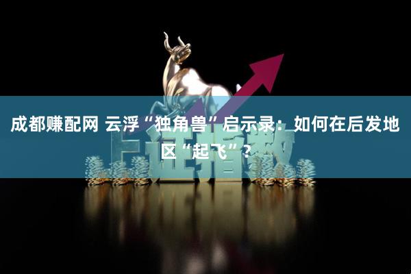 成都赚配网 云浮“独角兽”启示录：如何在后发地区“起飞”？