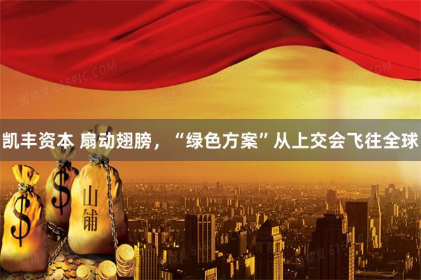 凯丰资本 扇动翅膀，“绿色方案”从上交会飞往全球