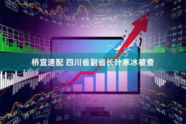 桥宜速配 四川省副省长叶寒冰被查
