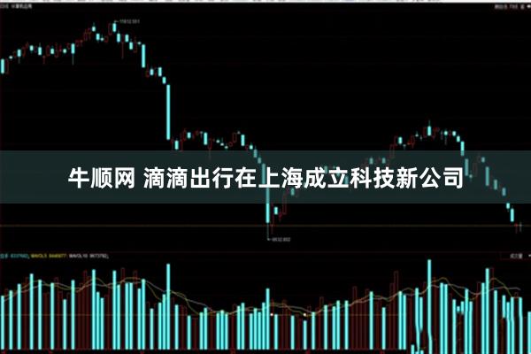 牛顺网 滴滴出行在上海成立科技新公司